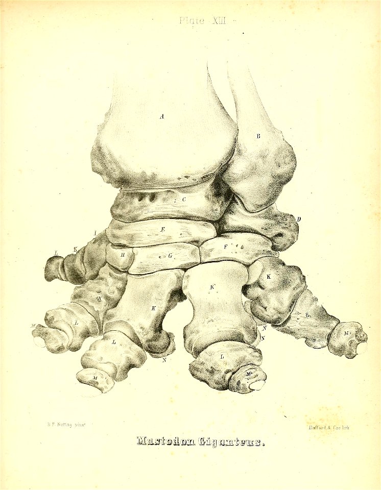 n262_w1150
