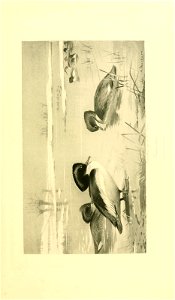 n228_w1150