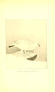 n212_w1150