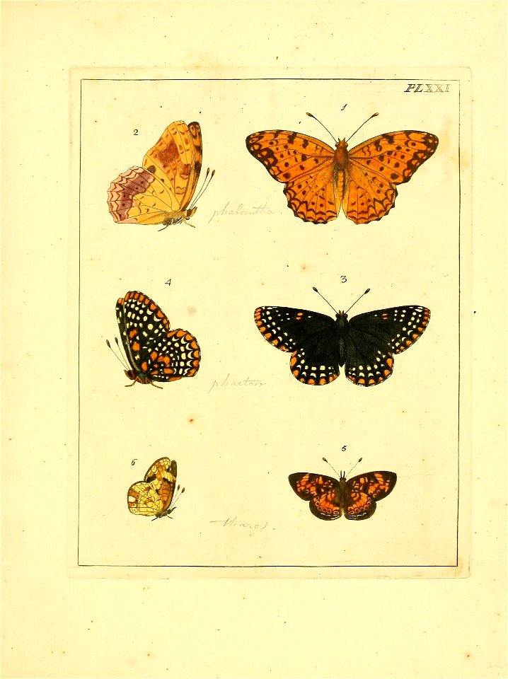 n120_w1150