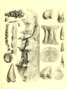 n172_w1150