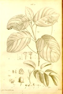 n536_w1150