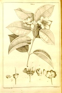 n551_w1150