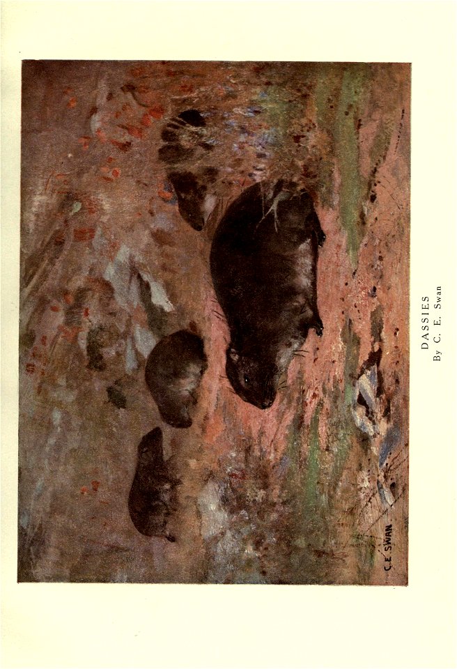 n18_w1150