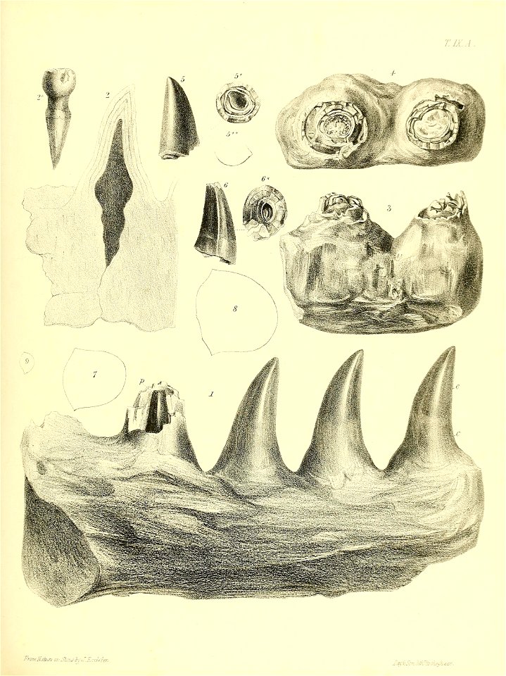 n176_w1150