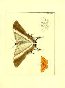 n68_w1150