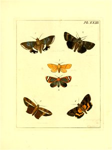 n128_w1150