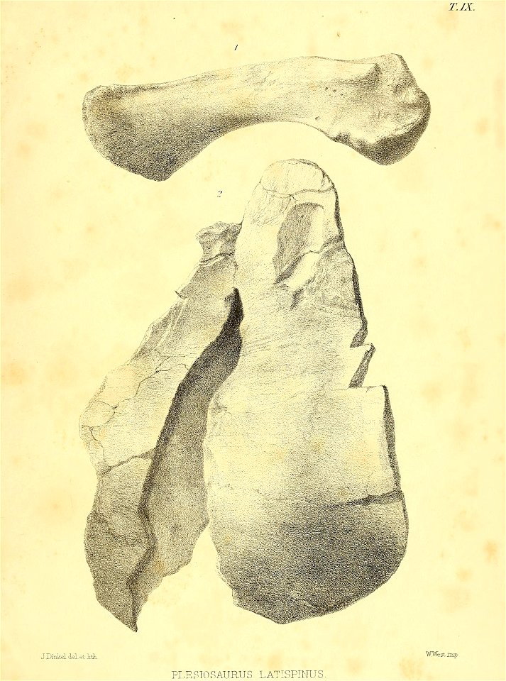 n456_w1150