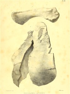 n456_w1150