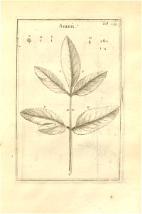 n159_w1150
