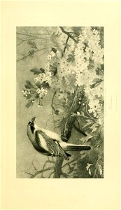 n114_w1150