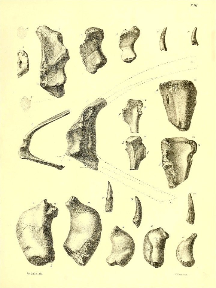 n334_w1150