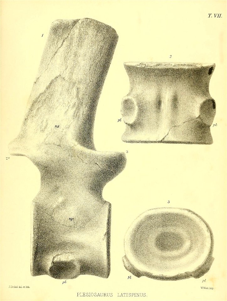 n448_w1150