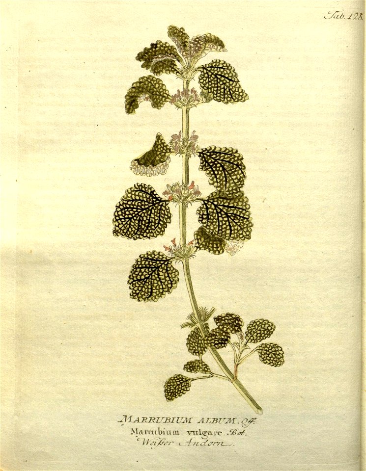n58_w1150