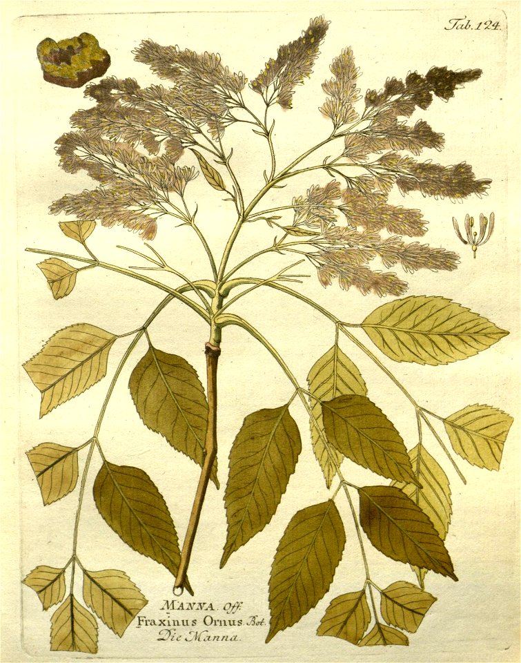 n55_w1150