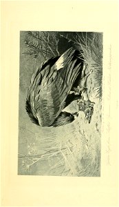 n26_w1150