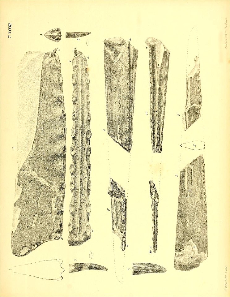 n258_w1150