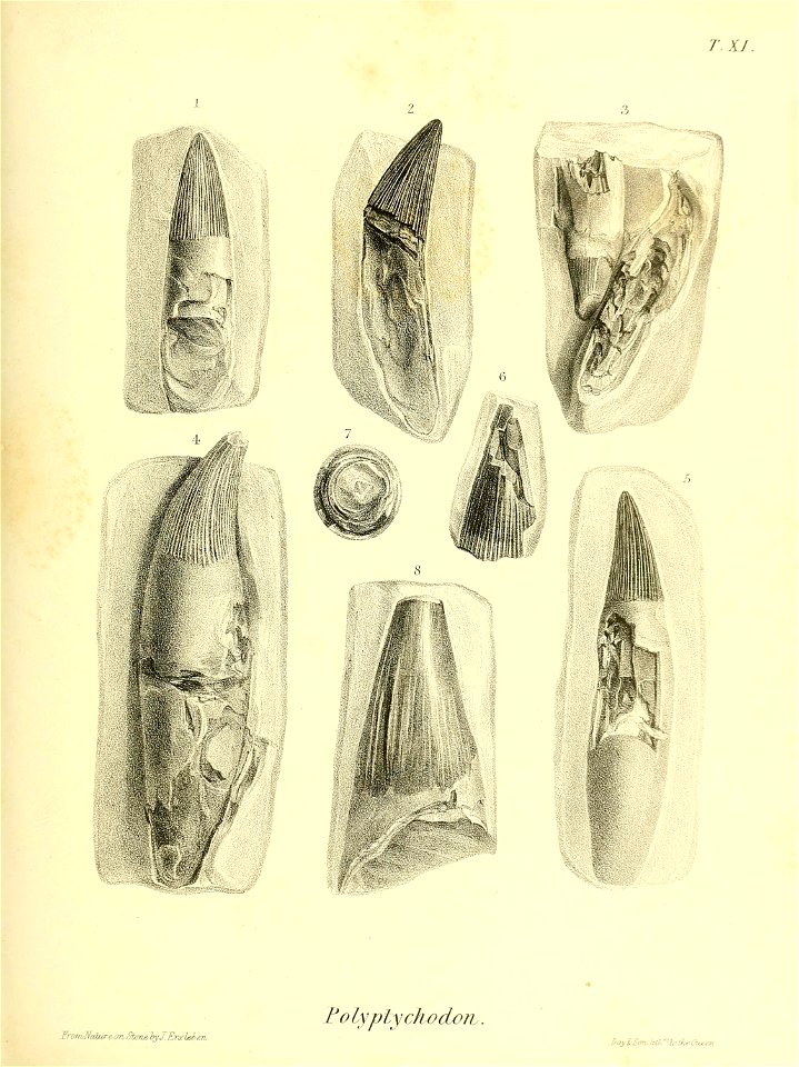 n184_w1150