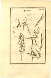 n218_w1150
