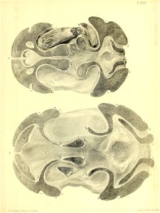 n248_w1150