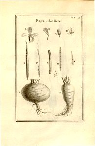 n113_w1150