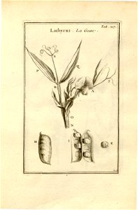 n217_w1150