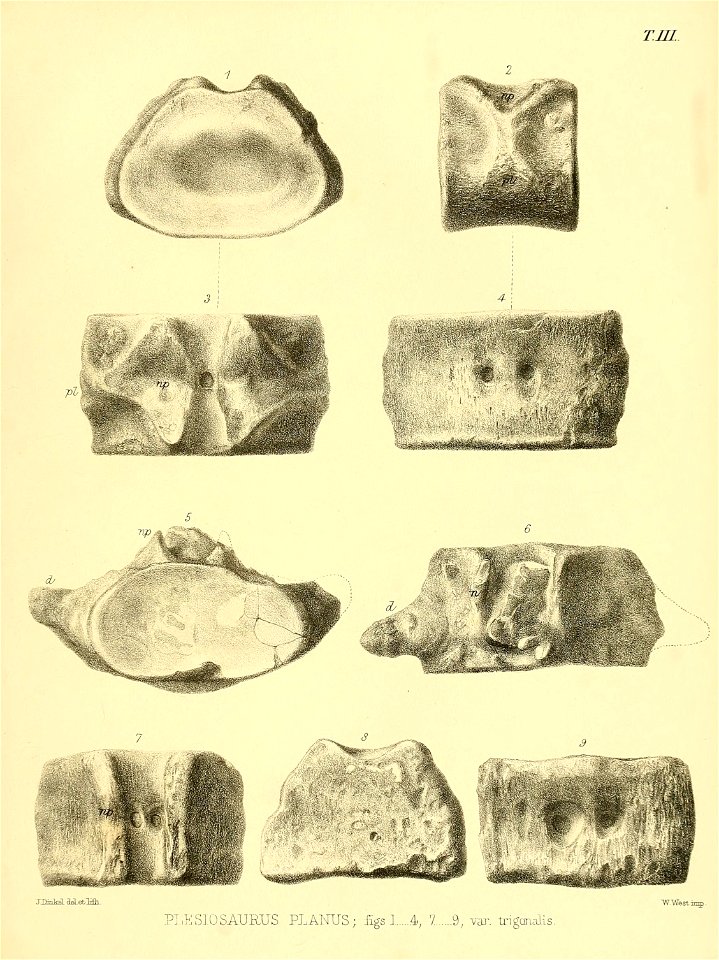 n432_w1150