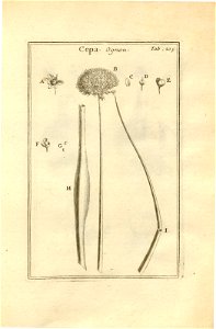 n205_w1150