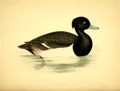 n367_w1150
