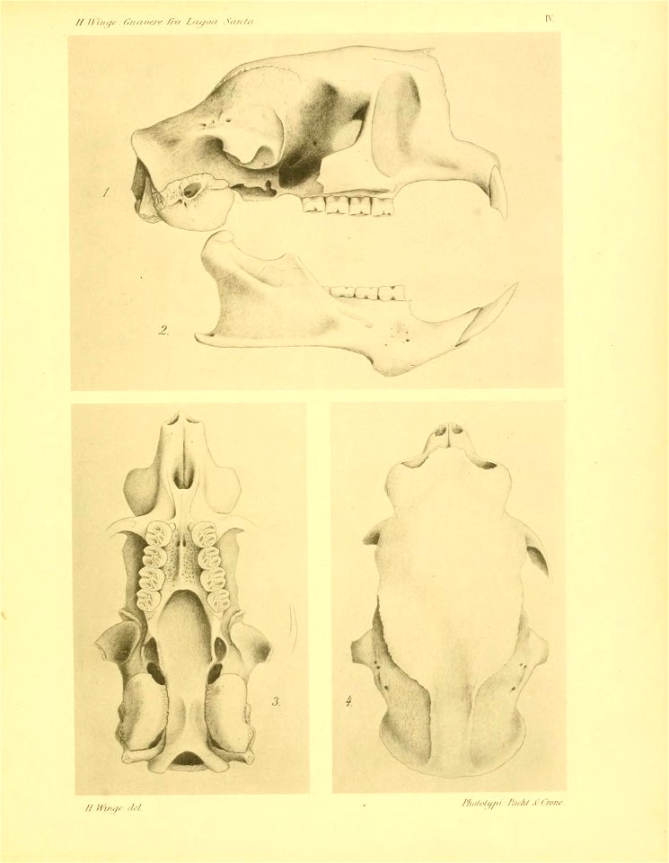 n192_w1150