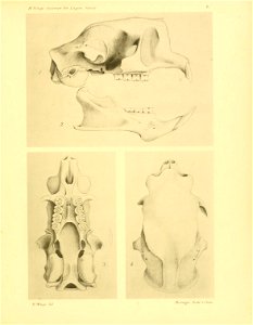 n192_w1150