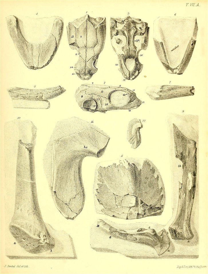 n164_w1150