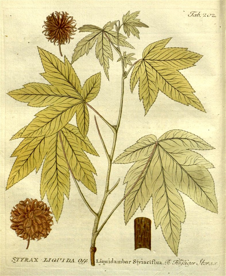 n303_w1150