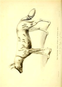 n151_w1150