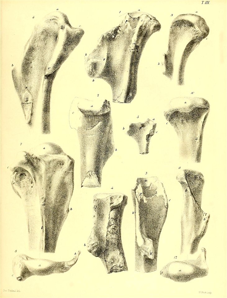 n388_w1150