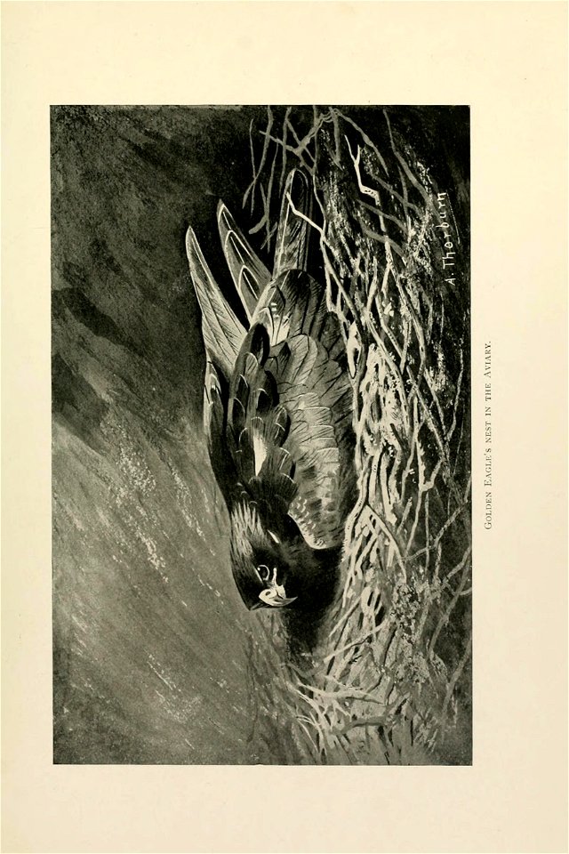 n126_w1150