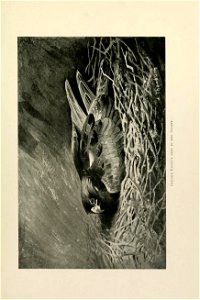 n126_w1150
