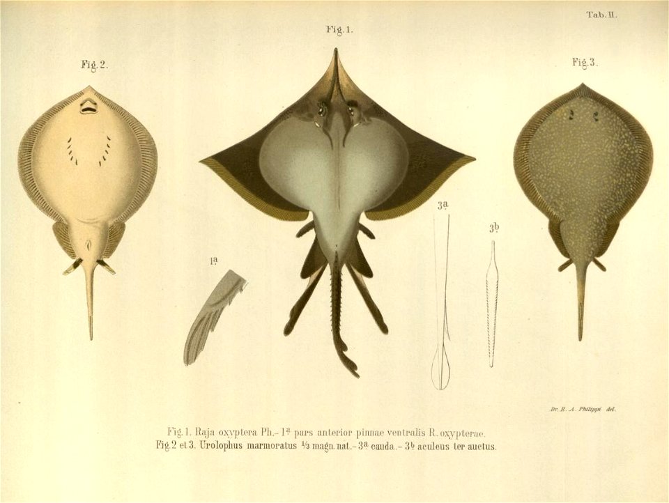 n107_w1150