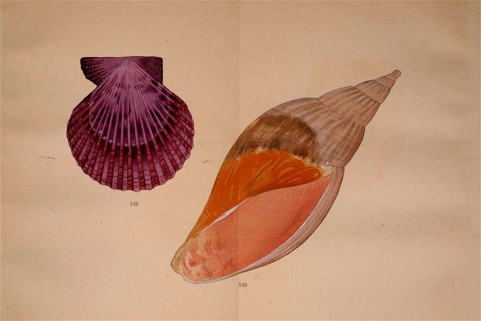 n16_w1150