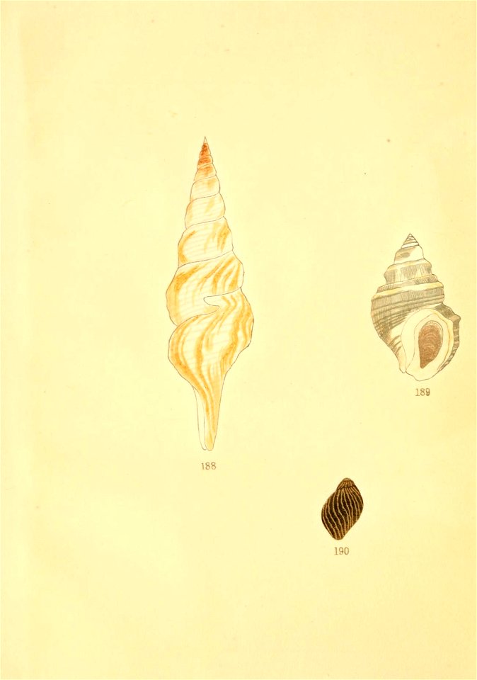 n5_w1150