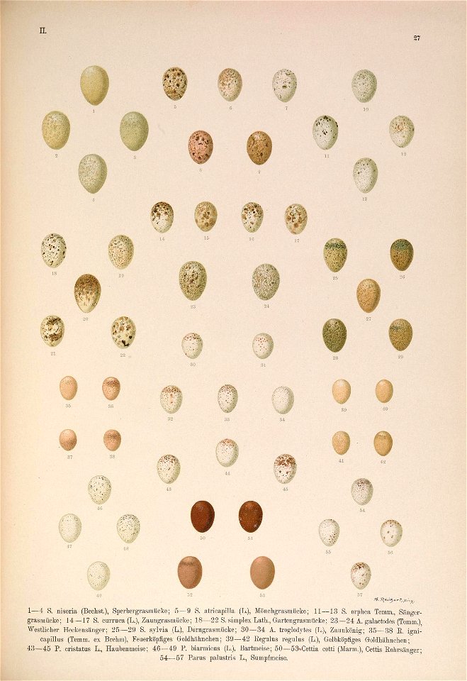 n398_w1150