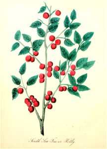 n183_w1150
