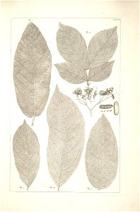 n54_w1150