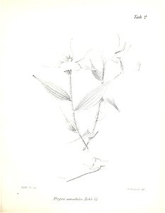 n112_w1150