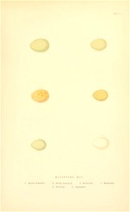 n108_w1150