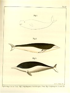 n153_w1150