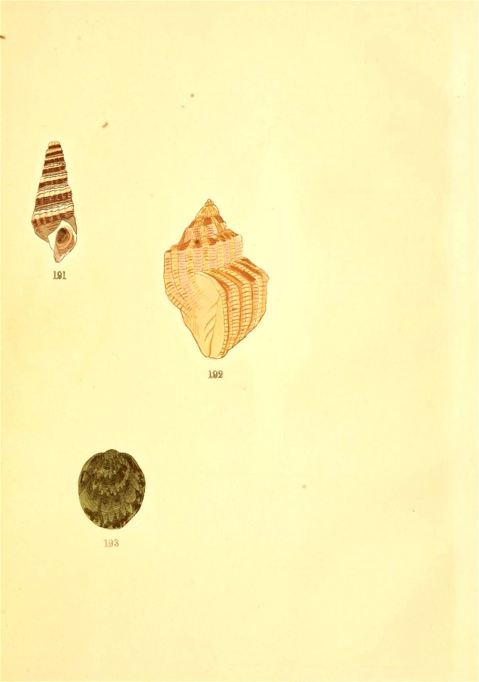 n6_w1150