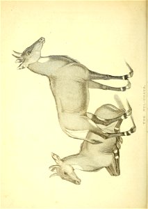 n143_w1150