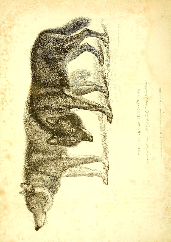 n19_w1150