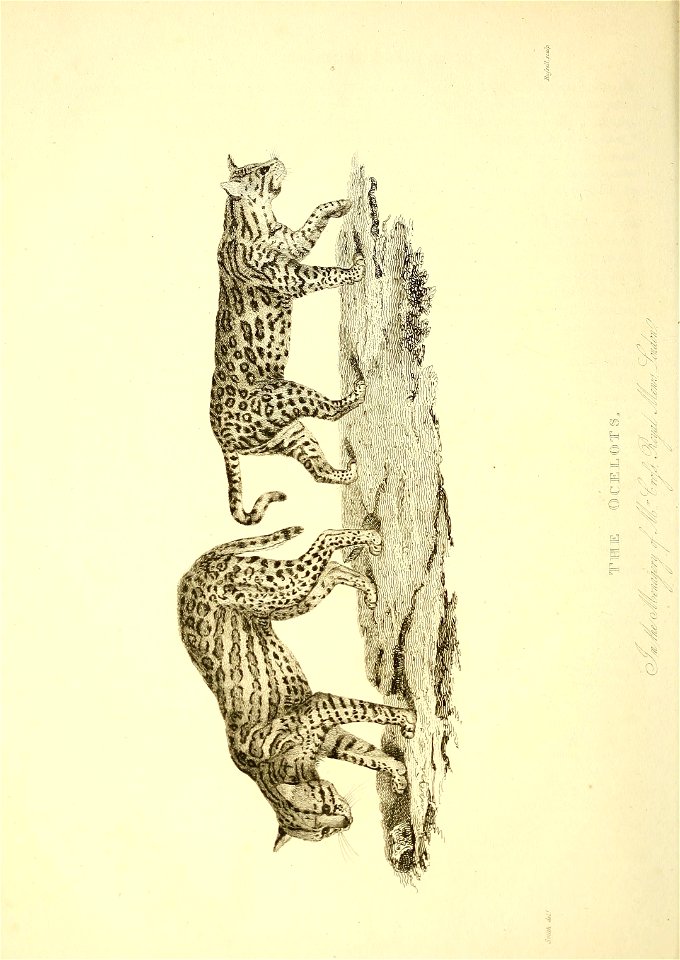 n171_w1150
